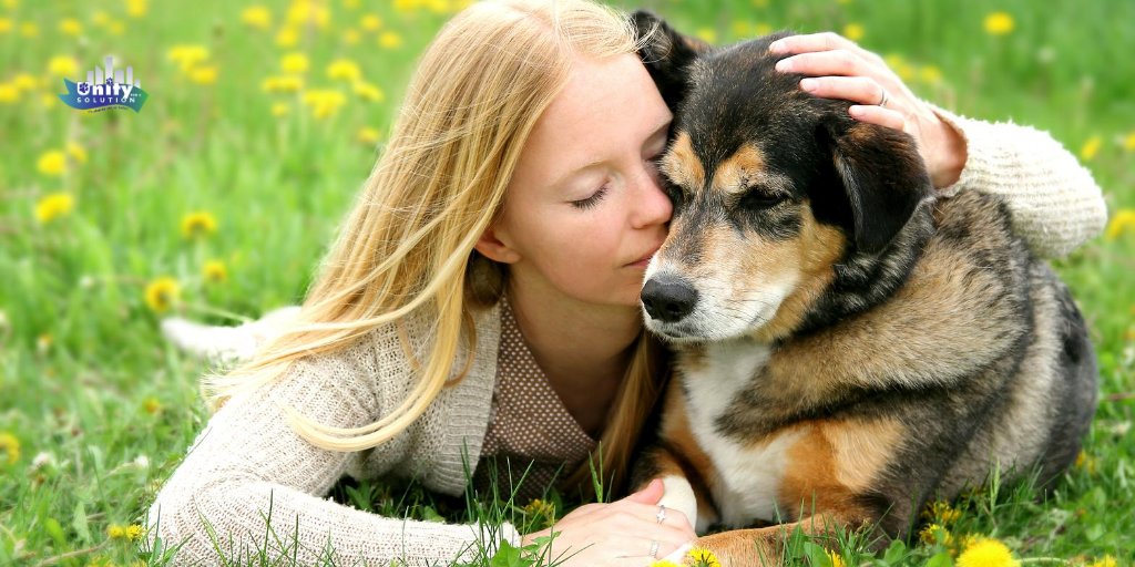 Unity4aSolution's tweet photo. Happy #SpoilYourDogDay! How will you make your dog's day extra special today?
#unity4solutions #togetherwecan #endthecycle #spayandneuter #adoptdontshop #dogsoftwitter https://t.co/0GFr6pkIbM