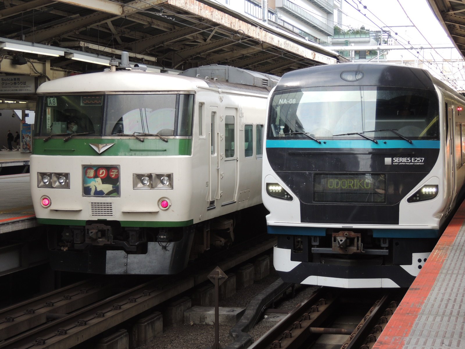 販壳・価格比較 新型特急列車踊り子号 踊り子号運転記念 急行列車はと
