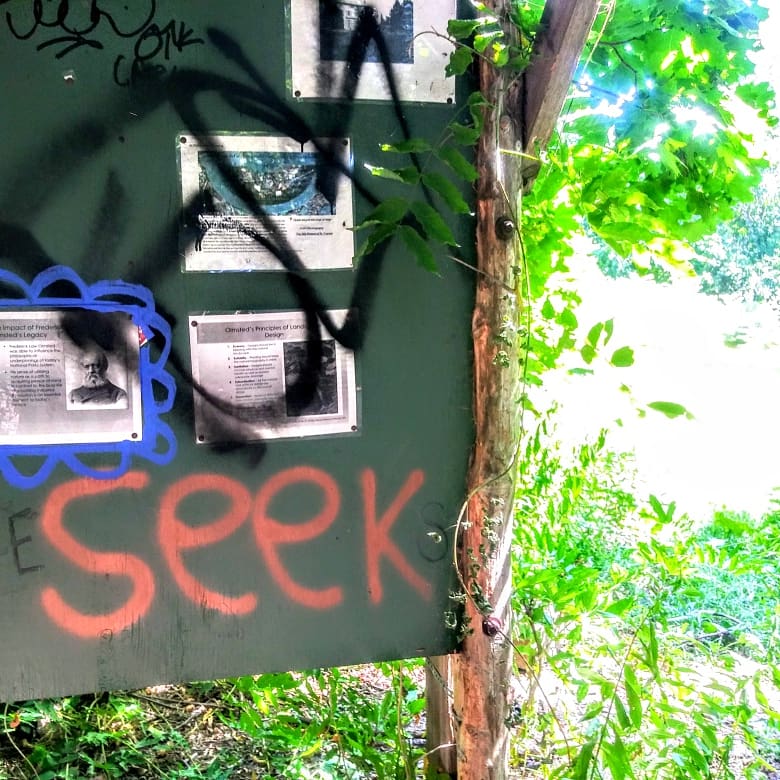 fishwifetales's tweet image. Weird to walk alone today. Didn’t realize I forgot what it was like to be w/ just myself &amp;amp; God. Am prepping for #HerStoryIs events, releasing my book (#ObjectLesson) &amp;amp; a poetry writing guide in January. Lots that requires the mind space that meditation brings.  ✨