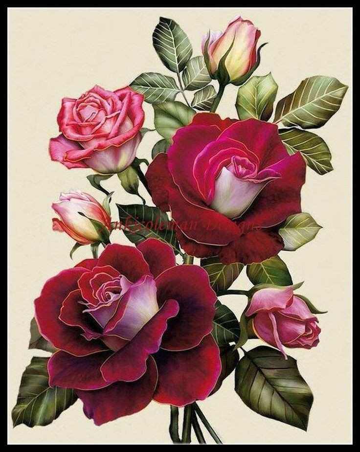 1489Mira's tweet photo. @mgroo7_asa @mas5557 ربي يحفز خالد https://t.co/aKEkrn4NRO
