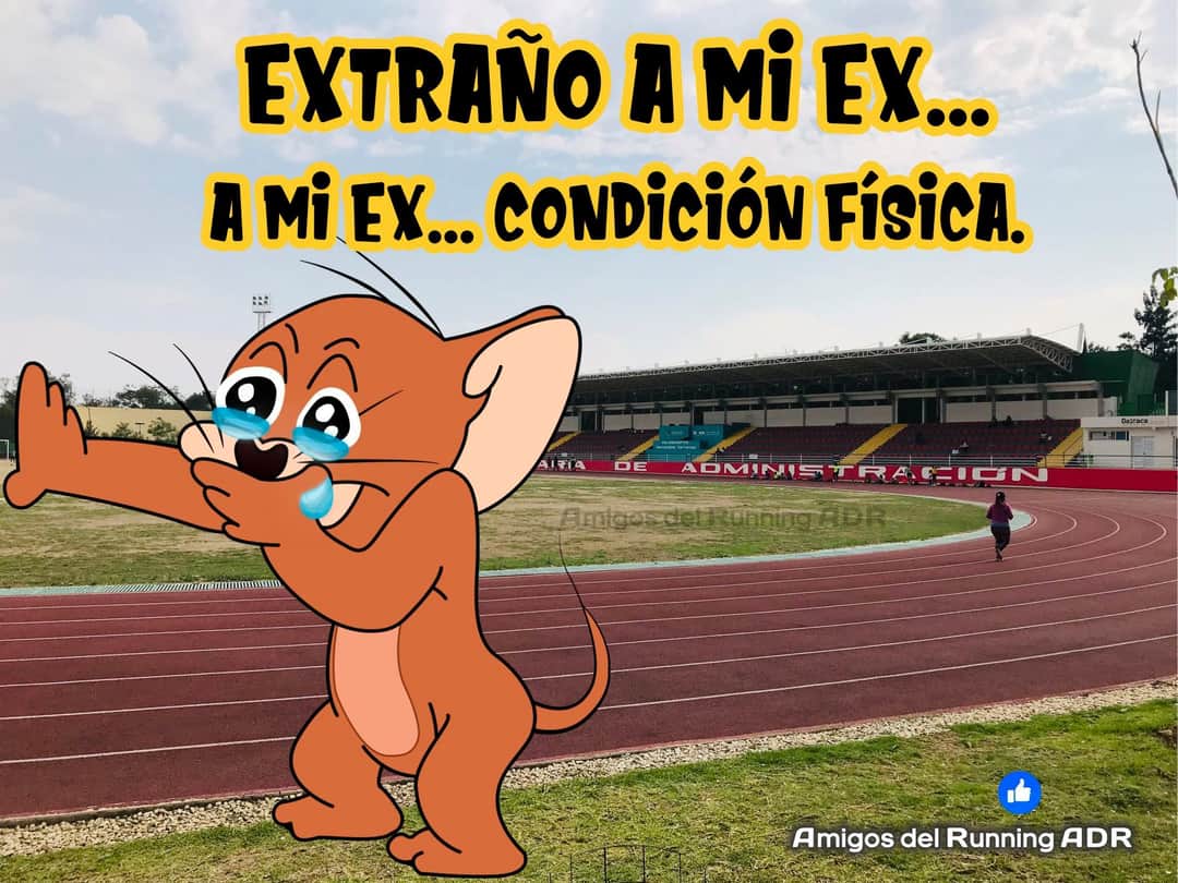 Maria_Alonso_R's tweet photo. Ay 🙄 siiiii...😩
#FelizInicioDeSemana 🤭
#BuenasTardes
Amig@s #runners 😘
#YoElegiCorrer #correVIVEsiente #EntreRunners #TemploRunner #marathorunner #CorrerEsMiPasion #runners #AmoCorrer #comuniRunners #Corredores #somosmaslocos #meencantacorrer #corroamipaso #corredores_MX https://t.co/E9fI64z10G