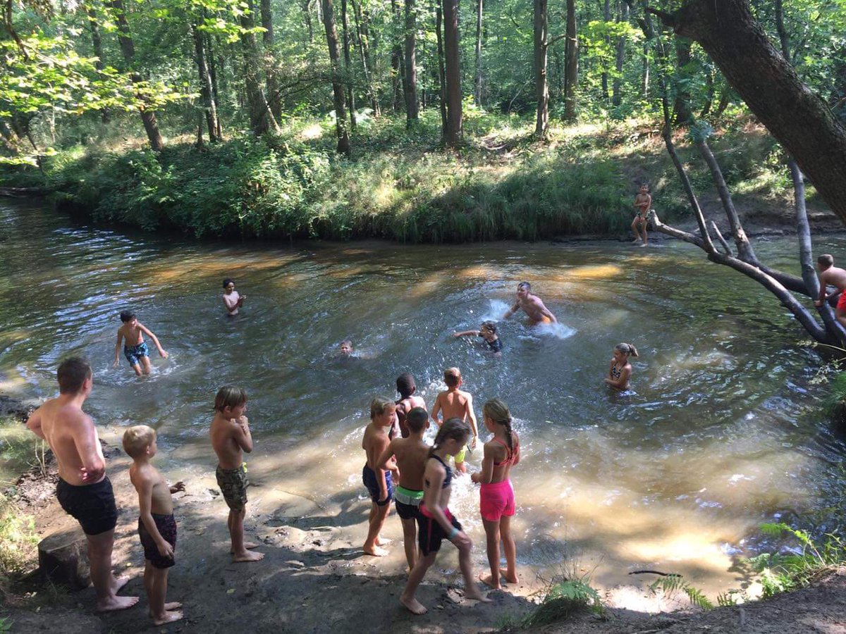 't Maasveld tweet media