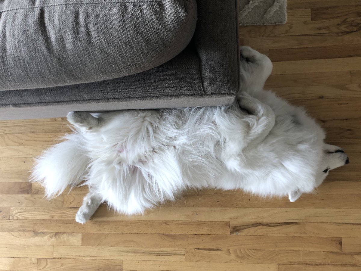 Nick Selman 🪴 tweet media