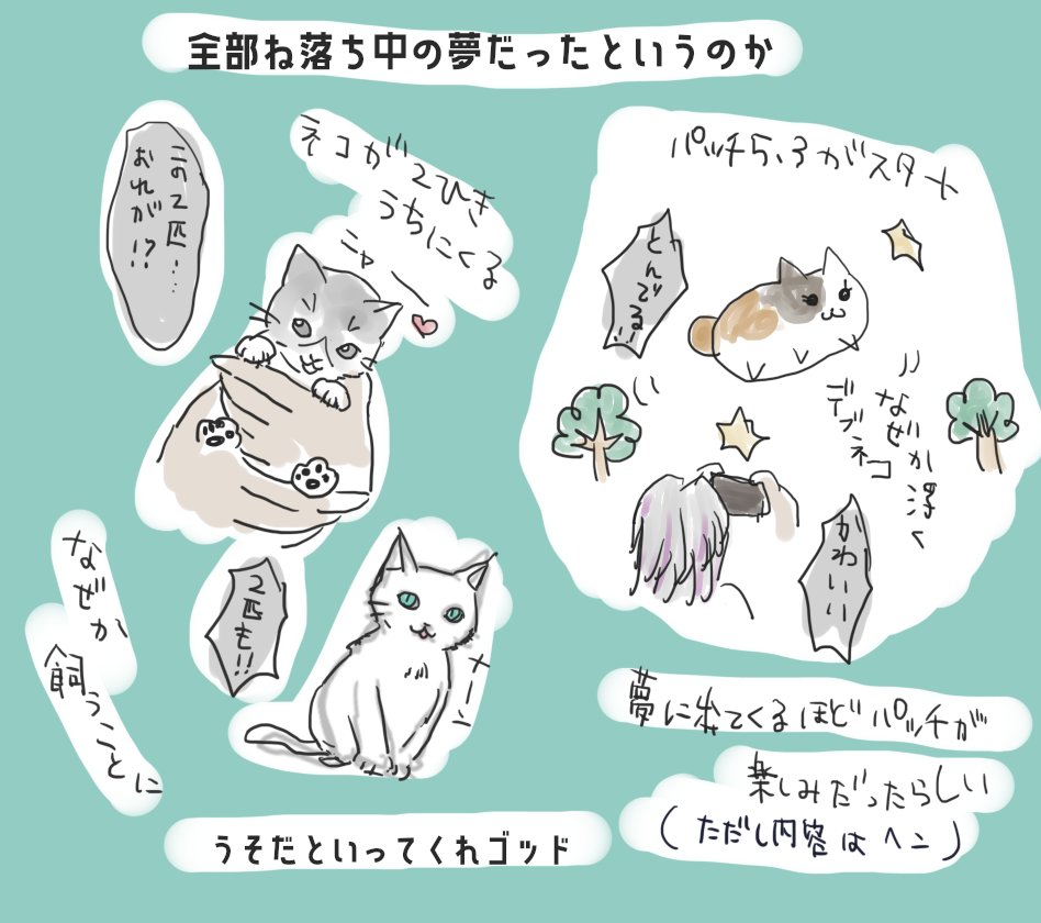 朗読会中に寝落ちしてた めちゃめちゃいい夢だったので現実逃避に書き留めまし グレイの漫画 朗読会中に寝落ちしてた めちゃめちゃいい夢だったので現実逃避に書き留めまし グレイの漫画