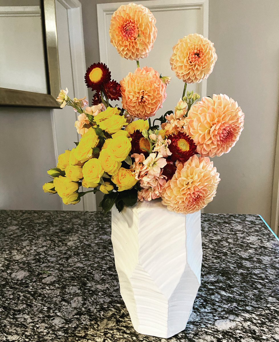 sooAshleyT's tweet photo. Bloom where you are planted ✨

Monday is here - New week, new goals, new opportunities !! We’re taking orders all week. For questions, please DM! 

🥀 F L O W E R  S N O B 🥀

#flowers #roses #flowersnob #lilys #yellow #arrangements #LA #blackflorist #blackbusiness https://t.co/nKVxCio2hY