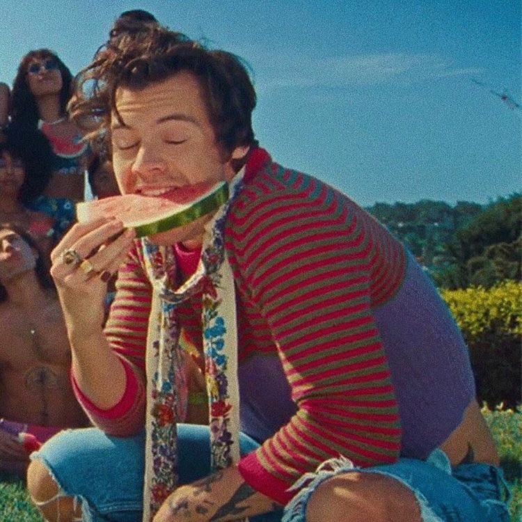 steaImyshawn's tweet photo. harry styles é o patrão https://t.co/CGZgTfc4bB