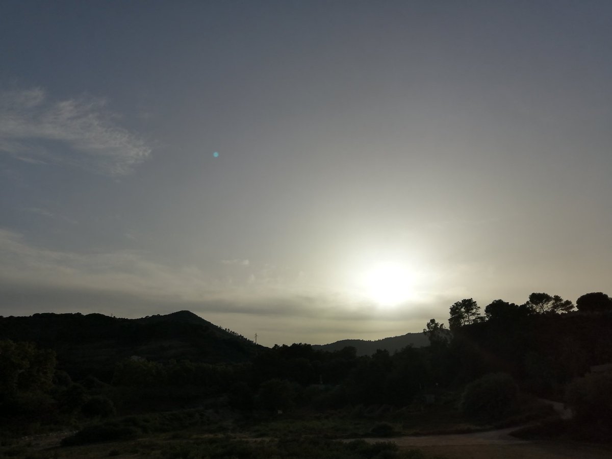 MeteoAdM's tweet photo. #Bonatarda des de la bassa de drenatge de la riera de #Subirans a #ArenysdeMunt amb un sol mig enteranyinat per l'augment del ☁️ prims a aquestes alçades de la #tarda Segueix el fil 👇 https://t.co/cKXFNzxEBX