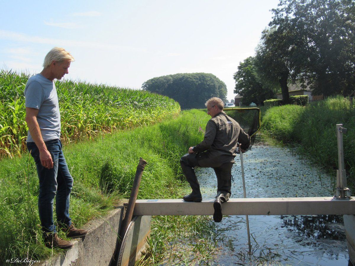 DeBiezen_76's tweet photo. Terwijl wij bezig waren op de #LandmeerseLoop was een team van @aaenmaas @groot_ernest ook sinds het ochtendgloren bezig op de #SnelleLoop ook daar werden de nodige vissen gered van de steeds meer droogvallende loop, ook deze werden uitgezet op de #Aa https://t.co/tXI9klpKWp
