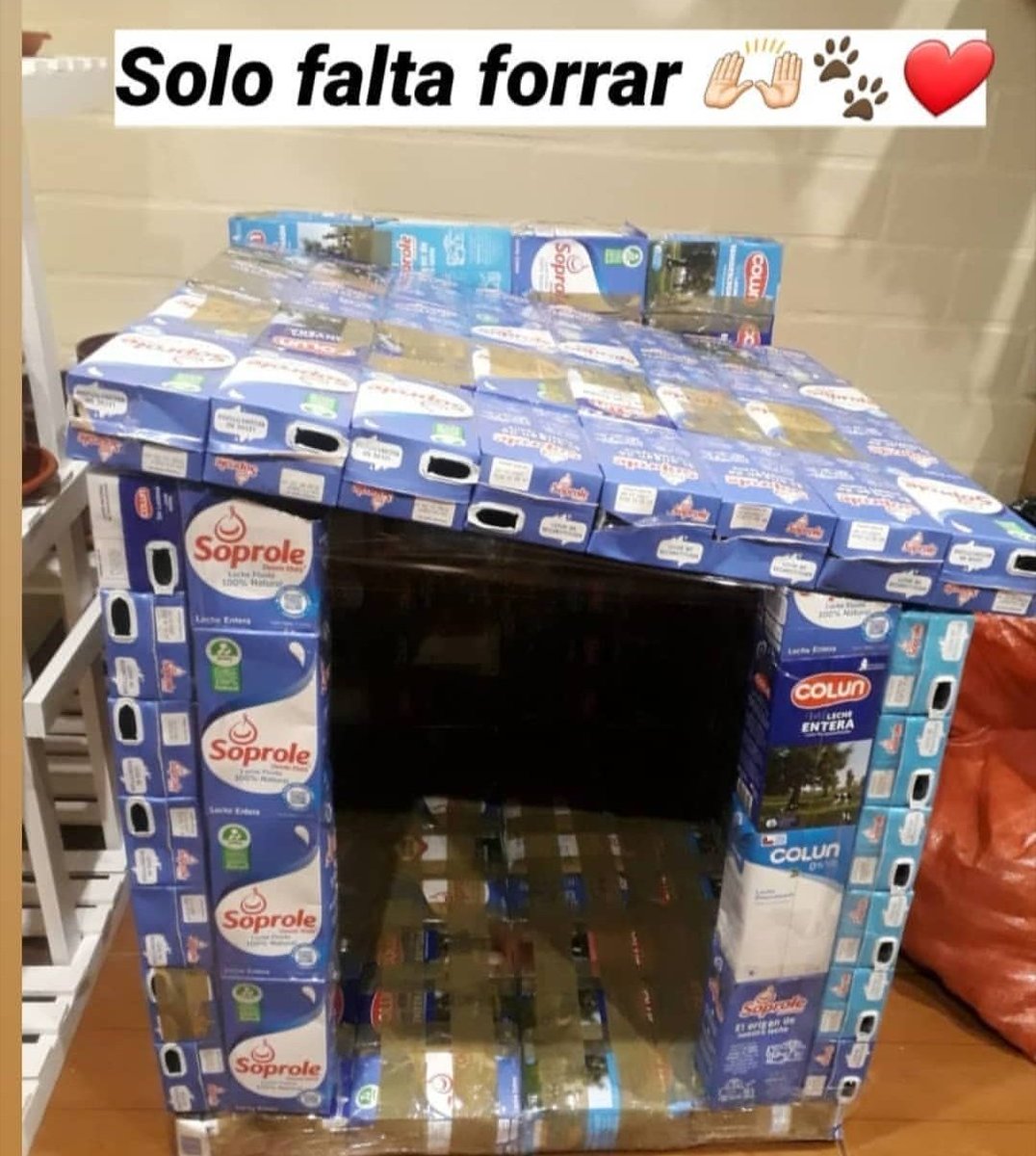 cachupines's tweet image. #QUILPUE Les dejamos este lindo proyecto de casitas tetra pack para perritos callejeros que impulsa la Fundación Una Nueva Oportunidad. Reciben donaciones de cajas para seguir ayudando
instagram.com/fundacion.nuev…