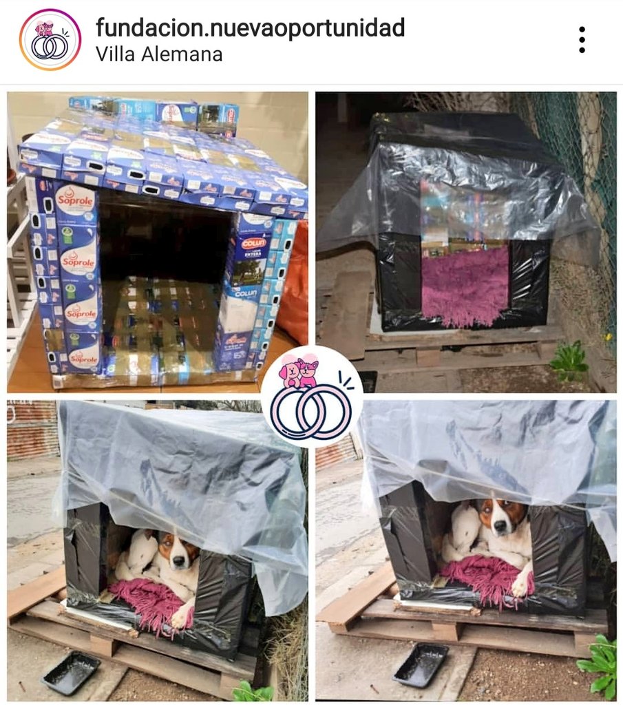 cachupines's tweet image. #QUILPUE Les dejamos este lindo proyecto de casitas tetra pack para perritos callejeros que impulsa la Fundación Una Nueva Oportunidad. Reciben donaciones de cajas para seguir ayudando
instagram.com/fundacion.nuev…