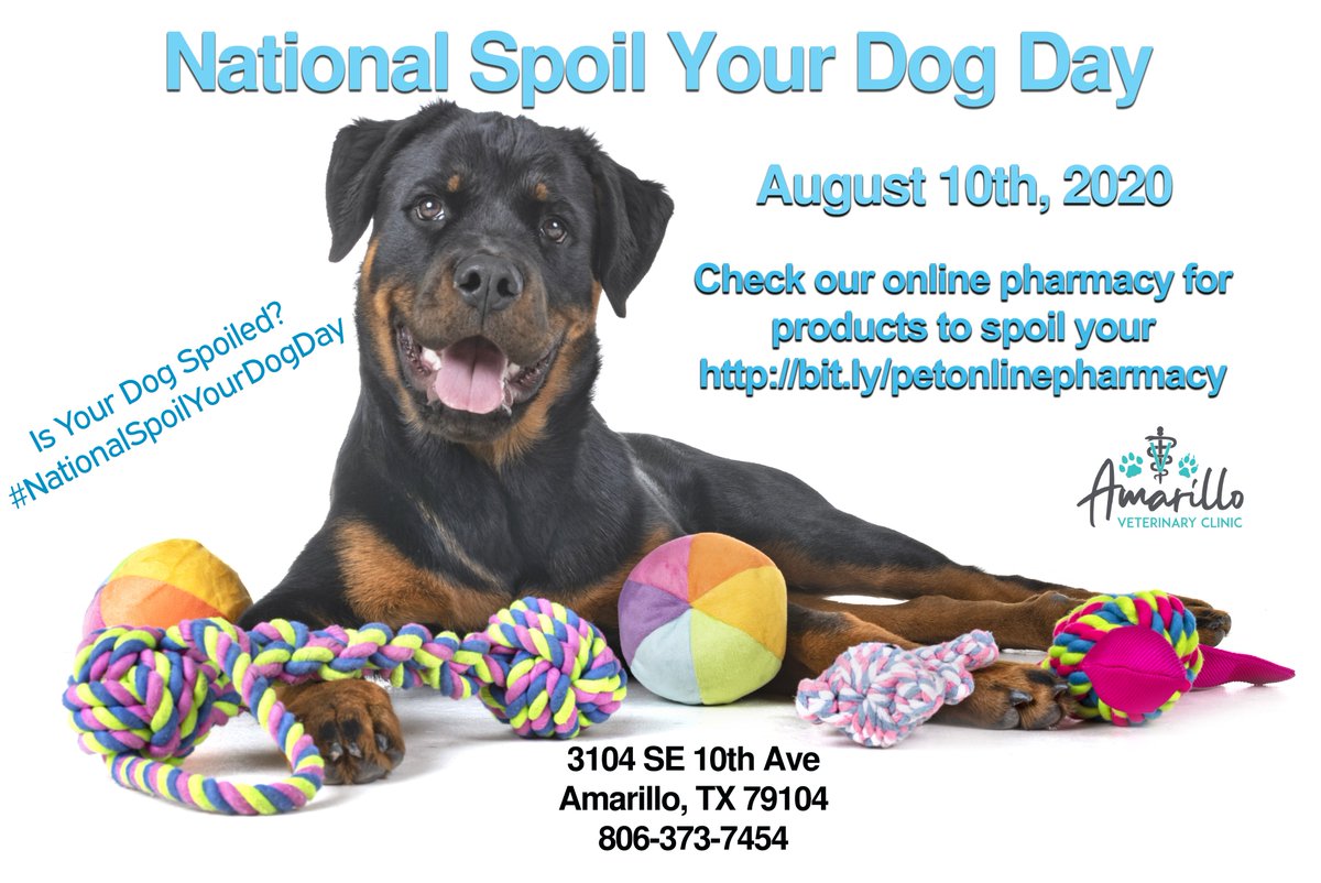 #NationalSpoilYourDogDay is today!  How do you spoil your dog?  #pets #dogs #dogsofinstagram #spoiled #avc #amarillovet #amarillovetclinic #amarilloveterinaryclinic
