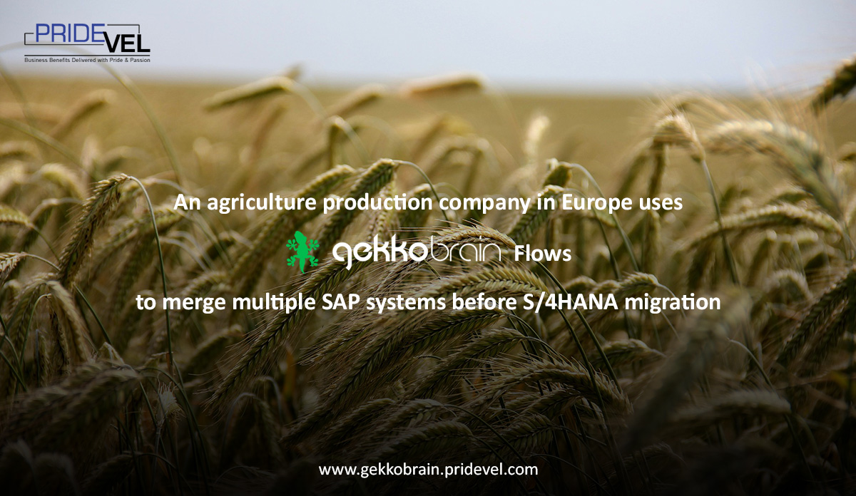 PrideVel's tweet photo. Read here https://t.co/PDlcR99MwT how @gekkobrain FLOWS, a process mining software, helps its customer merge multiple SAP systems before the S/4HANA migration. @ASUG365 @CIOonline @SAPCommunity #S4HANA #SAP https://t.co/pqaWQnWxxa