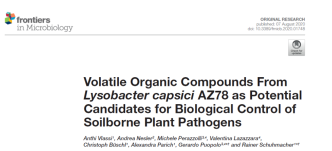 InterfutureEU's tweet photo. Controlling soilborne plant pathogenic microorganisms through VOCs emitted by a biocontrol bacterium #Sustainability #PlantHealth @MSCActions  
@EU_Commission @InterfutureEU  @fondazionemach https://t.co/xZKP0dF0Nb