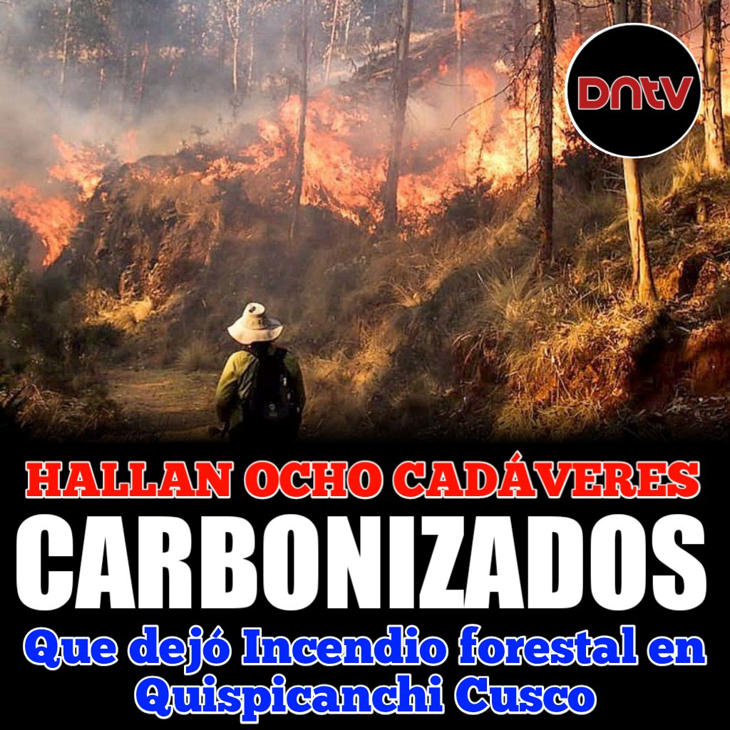 HALLAN OCHO CADÁVERES CARBONIZADOS QUE DEJÓ EL INCENDIO FORESTAL EN QUISPICANCHI CUSCO.

Un grupo de personas entre hombres, mujeres y hasta menores acudieron al lugar para sofocar el siniestro que amenazaba destruir sus cultivos, en la comunidad de Andayaque.
Exitosa.