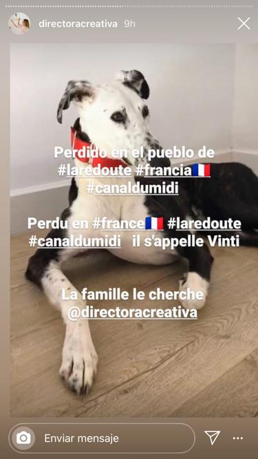 Se ha perdido Vinti. Es difícil, casi imposible, pero..
Si alguien lo ve o sabe algo, que me lo diga. El desamparo es terrible para él y para su familia. Agradecido.