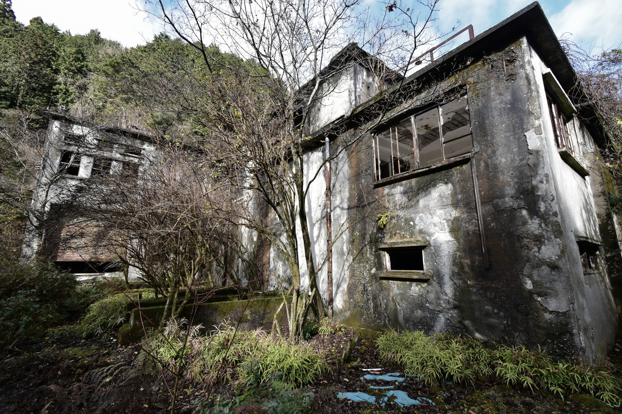 かわうそ Ar Twitter 山中に放置された巨大な白壁廃墟 既に内部は空だが 約50年間稼働し続けた痕跡は壁や床に長い時間をかけて染み付いてい た T Co Mczzmifgpg Twitter