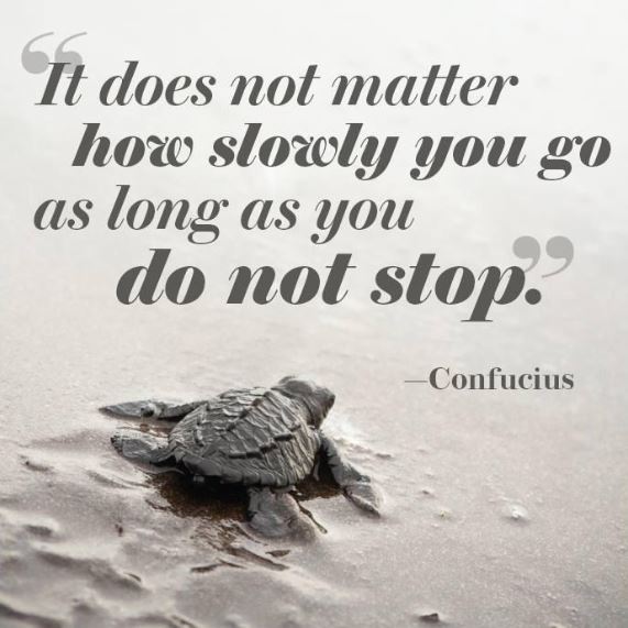 TriYaRacing's tweet photo. #MotivationalMonday #MondayMotivaton 
"It doesn't matter how slowly you go as long as you don't stop!" https://t.co/7VgmlmFKSB