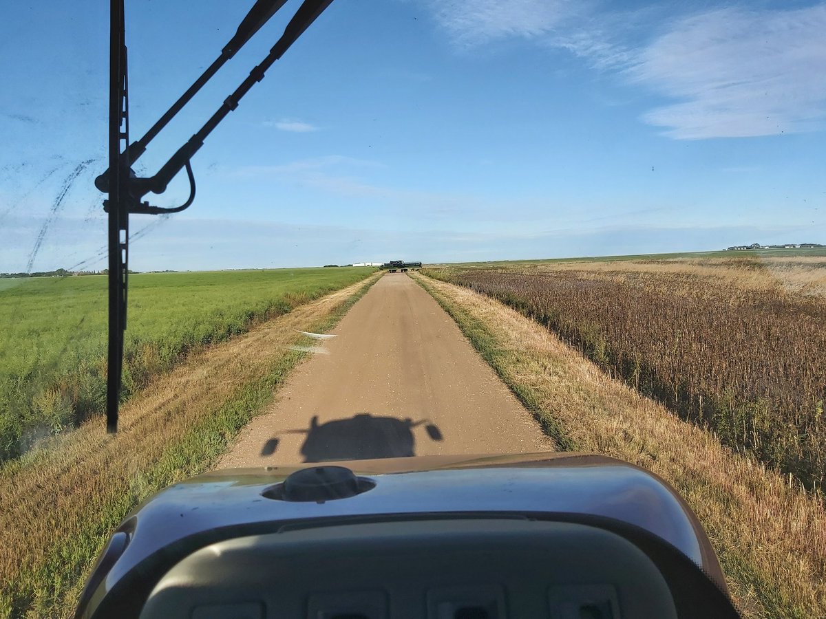 Goldendeefarms's tweet photo. Back road traffic jam.
#skag #Saskatchewan #harvest20 #canadianstandoff #fathersonstandoff #beepbeep https://t.co/e2qiEuXX3F