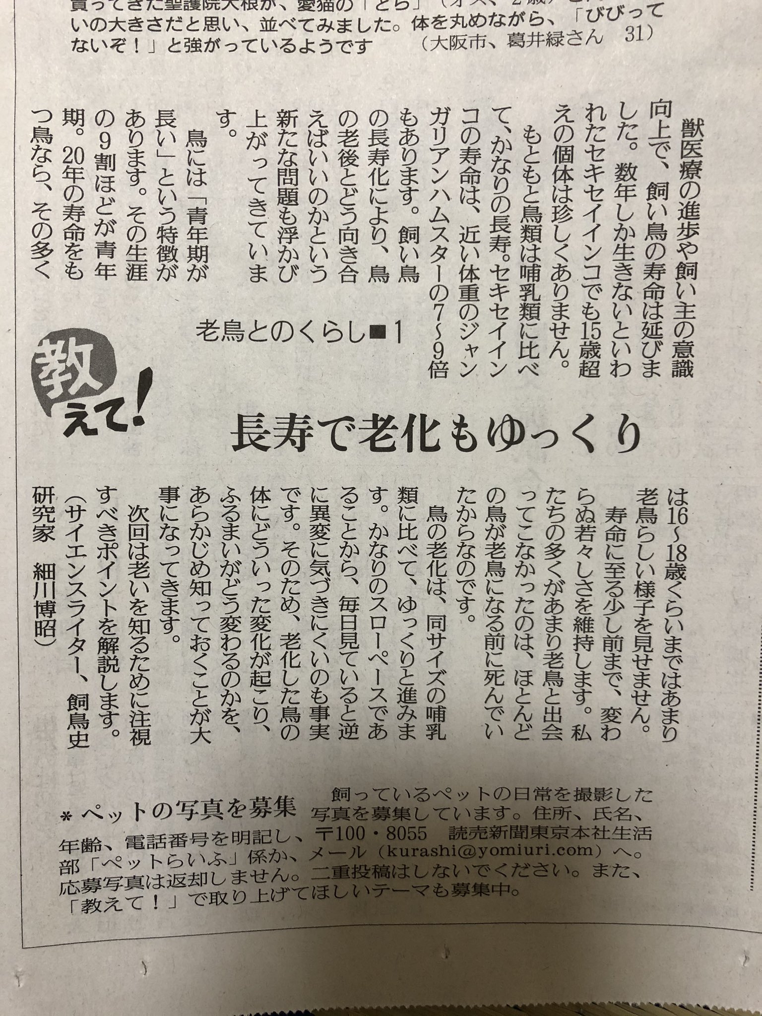 月暁 つきのあかつき 読売新聞でのペット記事 今回から細川先生 Aru1997maki の老鳥との暮らしについてだよ O