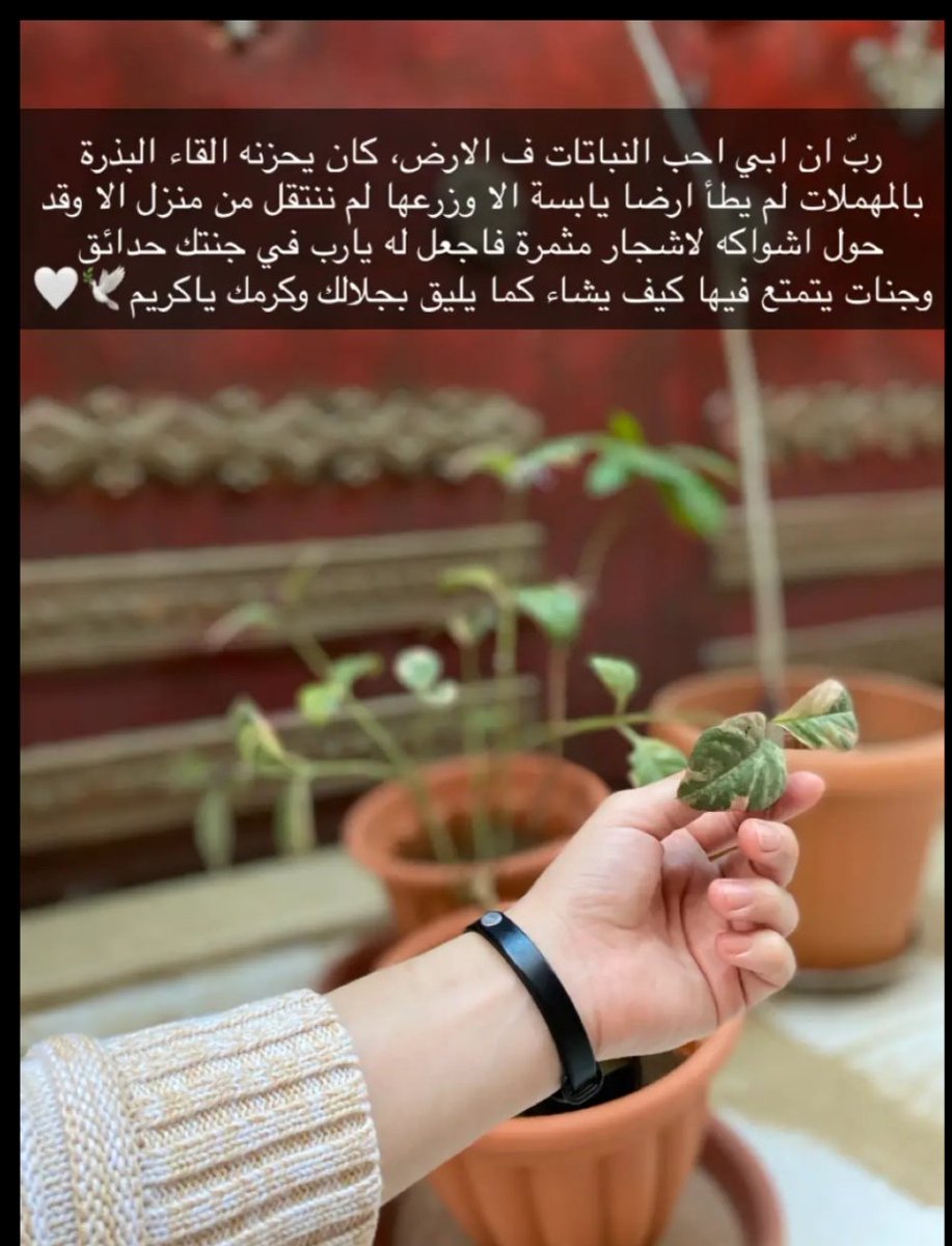 EGoodah's tweet photo. يارب ارحم ابي
#اللهم_ارحم_موتانا https://t.co/ONmlc5EU0h