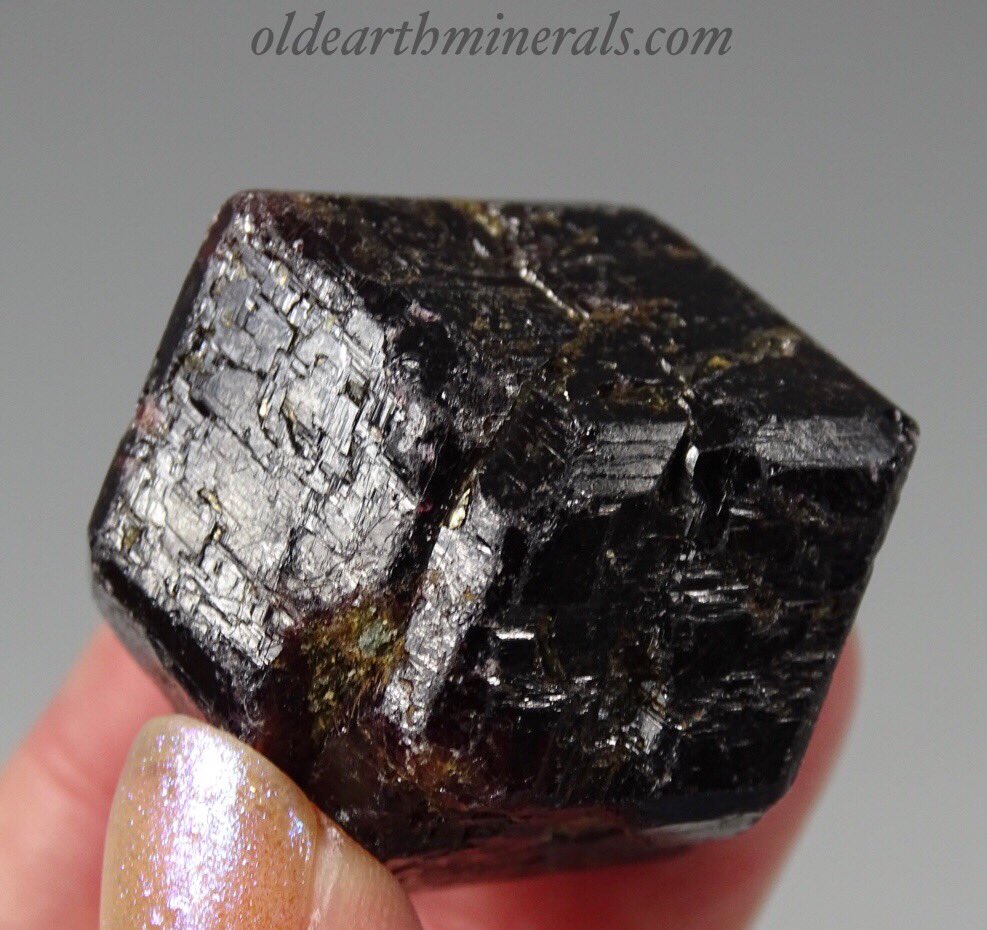 OldEarthMineral's tweet photo. 3.5 cm Red Rough Garnet Crystal. $15 plus shipping. 31 x 30 x 23 mm. 52 grams.
https://t.co/8bLzCLXYtA
.
 #roughgarnet #largegarnets #redgarnets #garnet #garnets #garnetcrystal #crystals #crystalhealing #redgarnet https://t.co/CQwUONRoPm https://t.co/Q3WHiUA91R