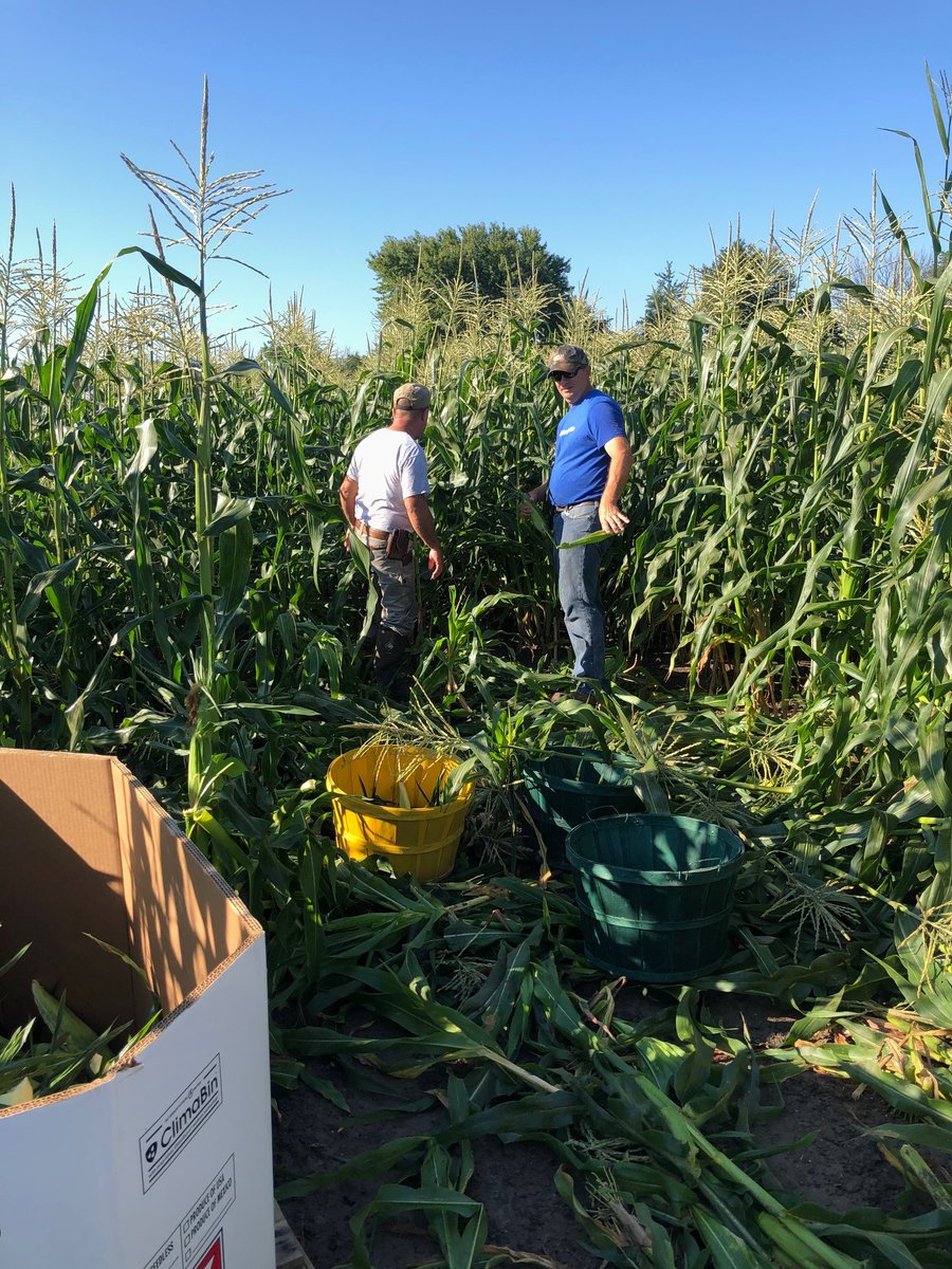 Ceres_Solutions's tweet photo. We Love Giving back to our local communities and our employee group does exactly that with a thankful heart . Our Terre Haute team donated 26 boxes of sweet corn last week to Catholic Charities.  We are all stronger, together. https://t.co/e9vsgIvcB7