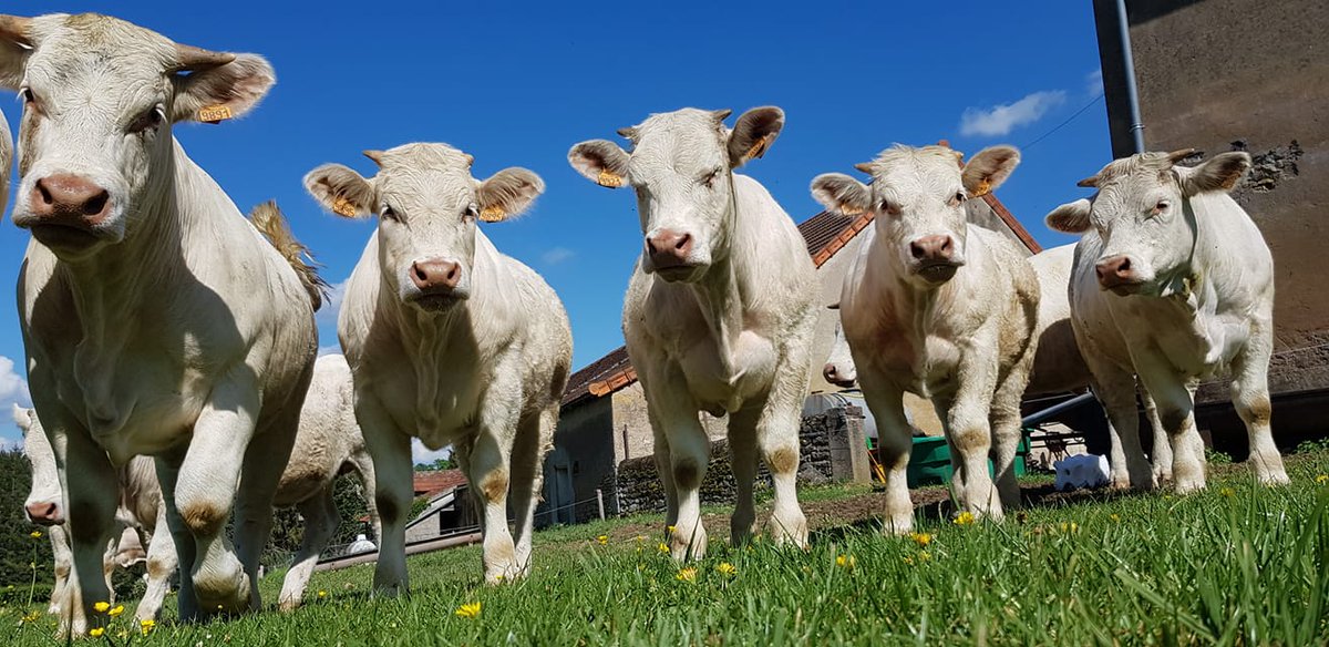 Le Tech&amp;Bio, c'est les 9 &amp; 10 septembre 2020 à Villers-Pater en Haute-Saône, c'est pour tous les agriculteurs et c'est gratuit ! Réservez vos billets dès à présent pour éviter les files d'attente à l'entrée du salon : bit.ly/2CeT5jL
Le programme 👉fr.calameo.com/read/002757079…