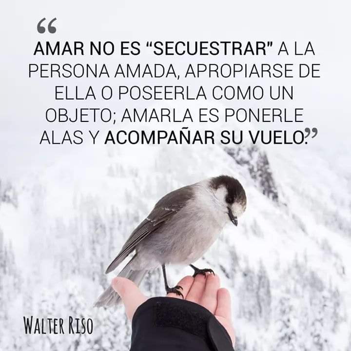 MtroJuanMario1's tweet photo. Cada día de nuestra vida es una oportunidad para crecer. https://t.co/rBTYIBn7H0