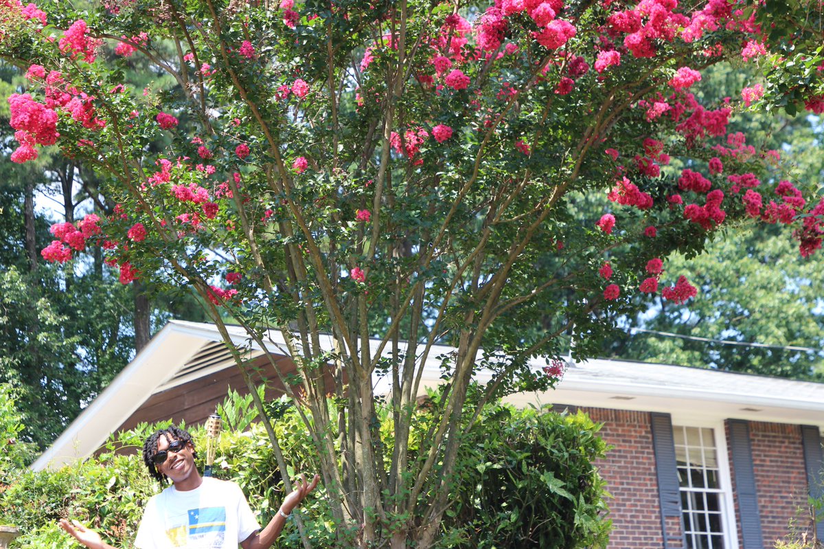 attackonterror's tweet image. Terrors Garden🌷