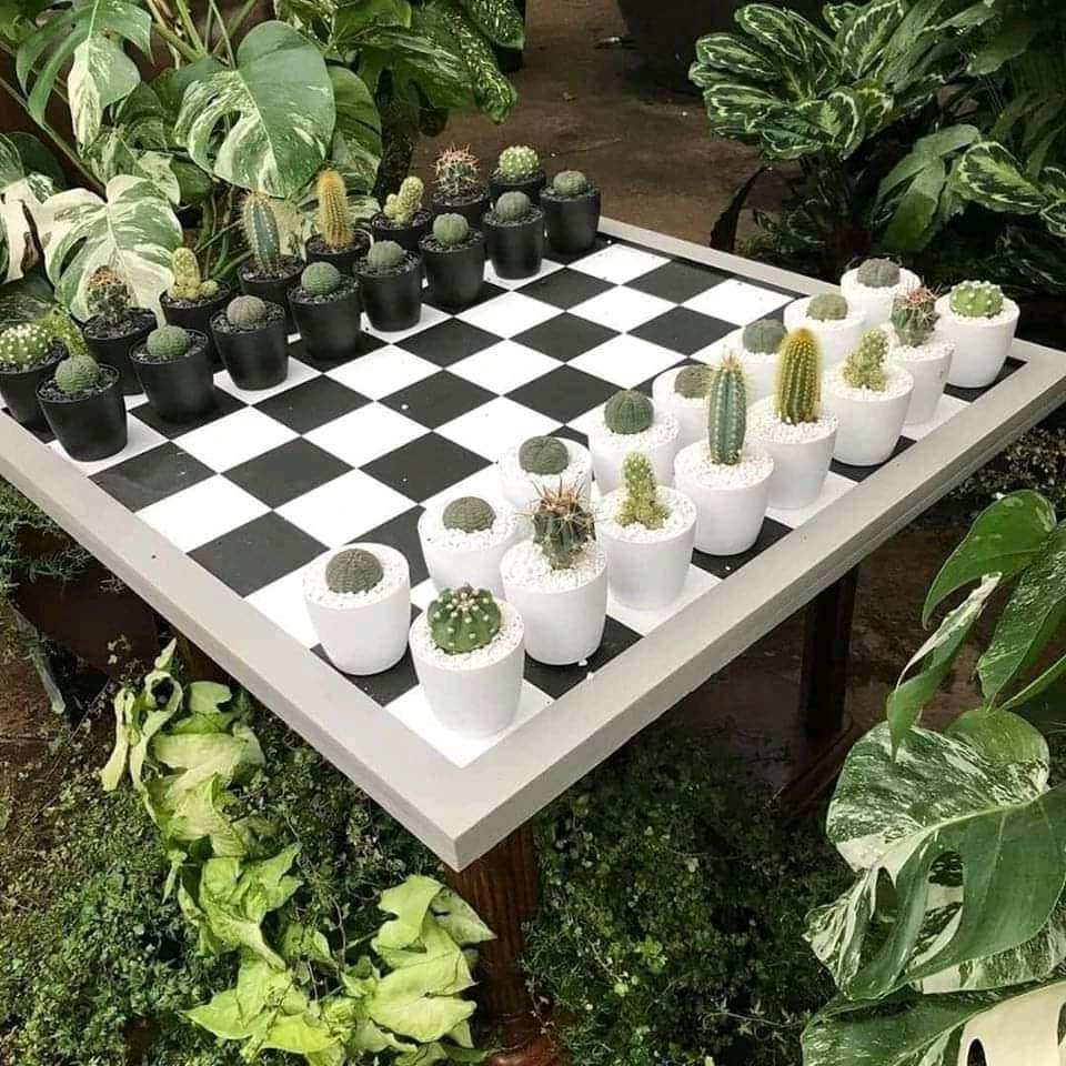 buenos dias!!
Un ajedrez Botanico 🌵🌱🌿☘️