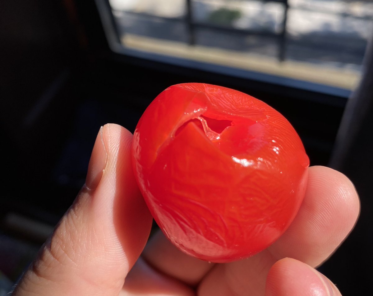 Jonah Lobe - now on 🦋 tweet media