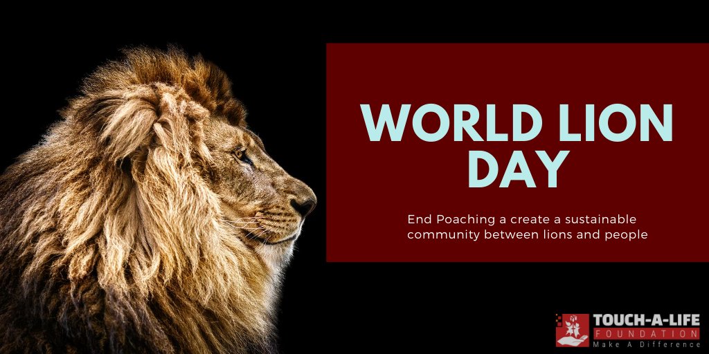 talgiving's tweet photo. On #WorldLionDay we are highlighting the Niassa Lion Project which supports Niassa National Reserve in Mozambique protecting 800 lions and working to build a sustainable lion-friendly community. Learn more 🔗https://t.co/bnGBAbYPvN https://t.co/mImf7AqEuW