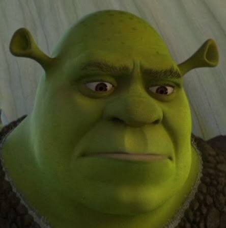 .‧₊˚✧ TIMOTHÉE CHALAMET AS SHREK [A THREAD] .‧₊˚✧