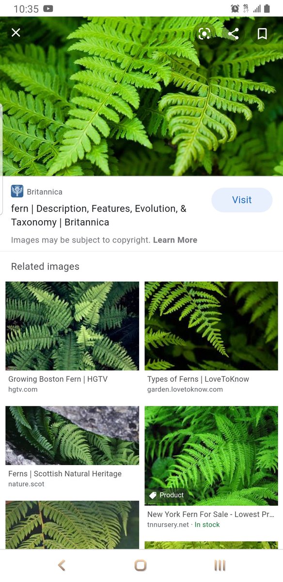 Tom Pimberton tweet media