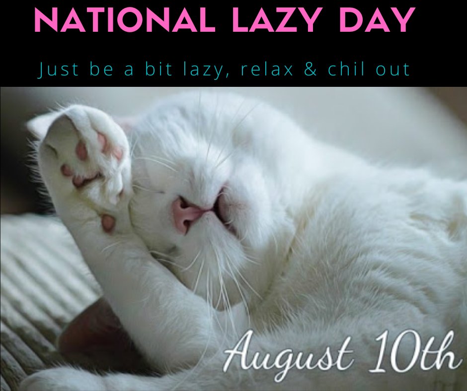 tanvir0083's tweet photo. Who doesn't love to be Lazy!!!😛 For those who loves to be Lazy, today is their day! 😂Celebrate this Lazy Day by being lazy! Happy Lazy Day!! 🥳
#LazyDay From #TeamNidifugous #Nidifugous https://t.co/6eNEZCld0E