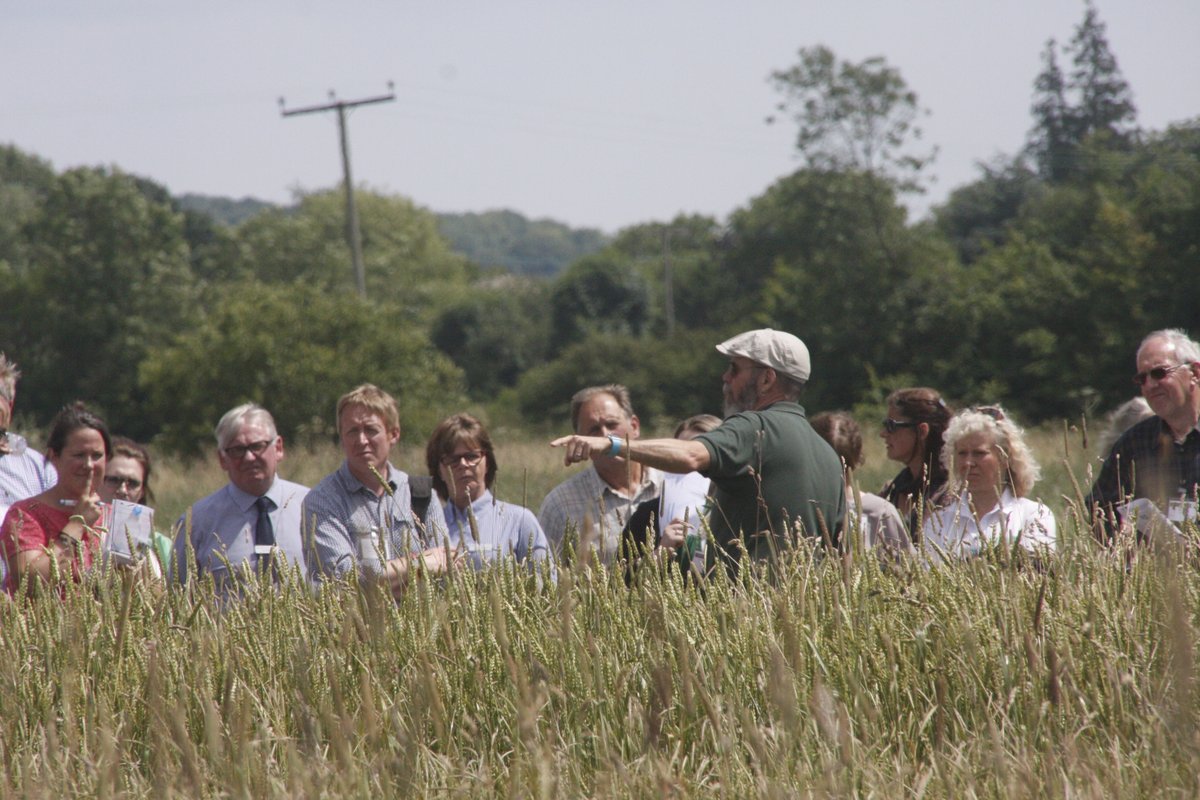 We are recruiting a Head of Research! Come and join us and help shape our future! #organicfarming #agroecology #jobs tinyurl.com/ORC-jobs