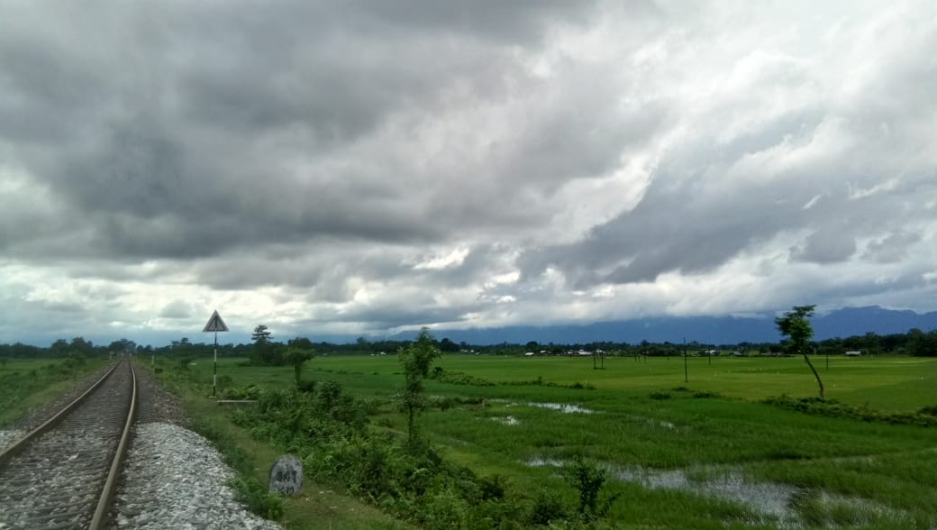 DoleyMatu's tweet photo. 🍃🌳💚 https://t.co/IdV47zMpsC