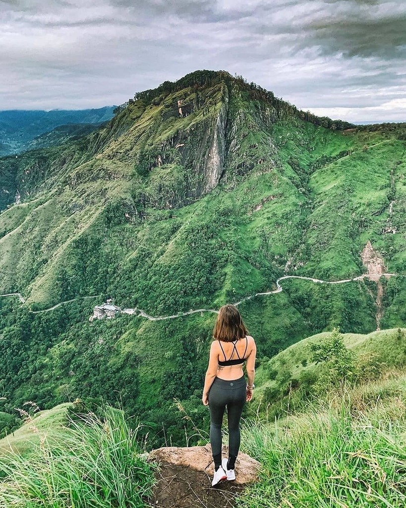 Ella_SriLanka's tweet photo. A beauty from Little Adams Peak
.
.
.
.
❤️
Reposted from 📸 @yana_kotova_fit
#ellatown #littleadamspeak #miniadamspeak #srilankatrip #srilanka🇱🇰 #ellasrilanka#SoSriLanka#VisitSriLanka#travelsrilanka#travelsrilanka🇱🇰#srilankatravel#srilanka
#wonder… https://t.co/eF7GUJ4tnU https://t.co/xzu9AMpLqP