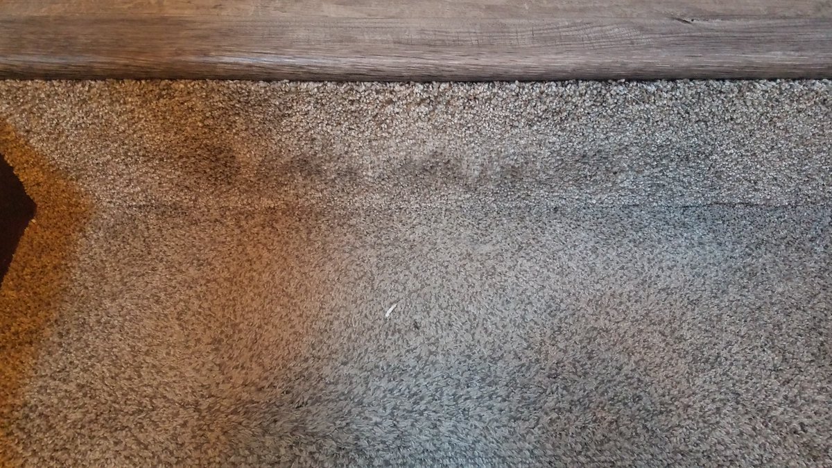 BobPacanovsky's tweet photo. Do you see anything unusual about the picture below?  It’s a picture of a step, pretty ordinary, right?

If you look closely, you will see something little, that made a big impact on me.  The "rest of the story" is in my latest blog below. 

https://t.co/TFAoQwAbnK https://t.co/seRGnuEZy0