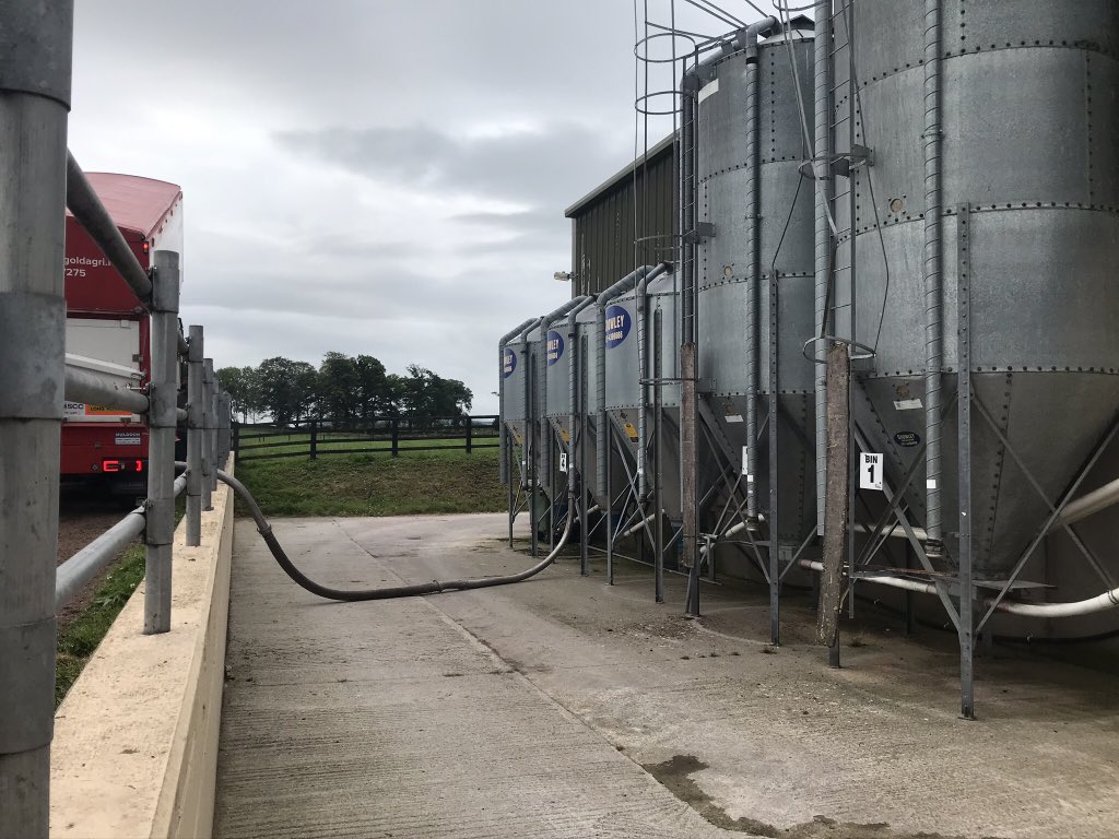 KatieStarsmore's tweet photo. New natural feed supplement started last Friday! This trial will last up until early October, where 80 cows are split into treatment and control groups. We will then compare the methane production between the 2 groups. #burpingcows https://t.co/K1RnWsAtPV