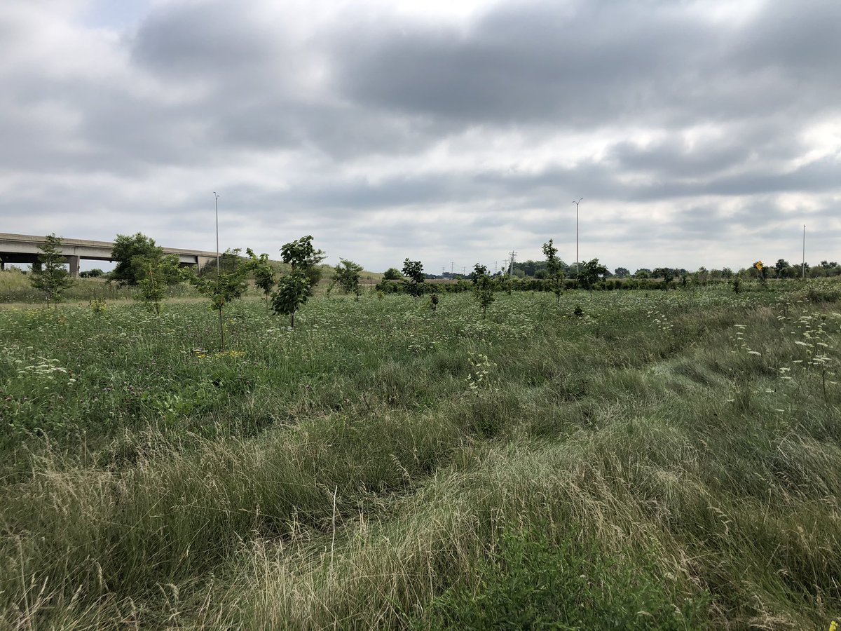 bbltelescope's tweet photo. Out in the field today. https://t.co/Lf1lcgzcVw