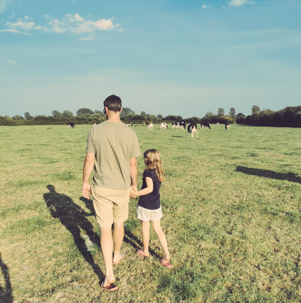 Mead Farm Foods (@Mead_Farm_Foods) on Twitter photo 10/08/2020 15:06:45 Back to the farm from camping trip, first thing is to check the cows. #FromOurHomeToYours Back to the farm from camping trip, first thing is to check the cows. #FromOurHomeToYours