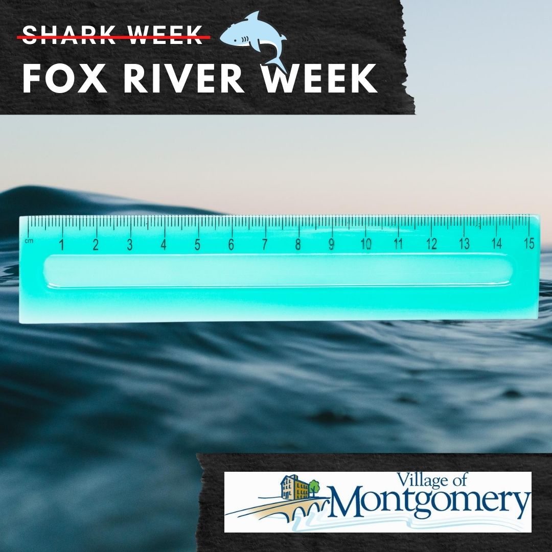 MontgomeryIL's tweet photo. 🦈 Who's excited about Shark Week... We mean Fox River Week? This week we'll be sharing info about the Fox River... We don't have sharks but we have a river! Did you know the Fox River is a 202-miles-long (325 km) #SharkWeek #MontgomeryIL #FoxRiver https://t.co/p6CygWm159