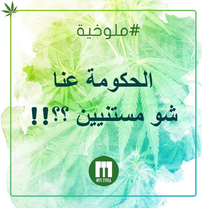 MTV_Syria's tweet photo. #ملوخية https://t.co/8mZzvlQDvU