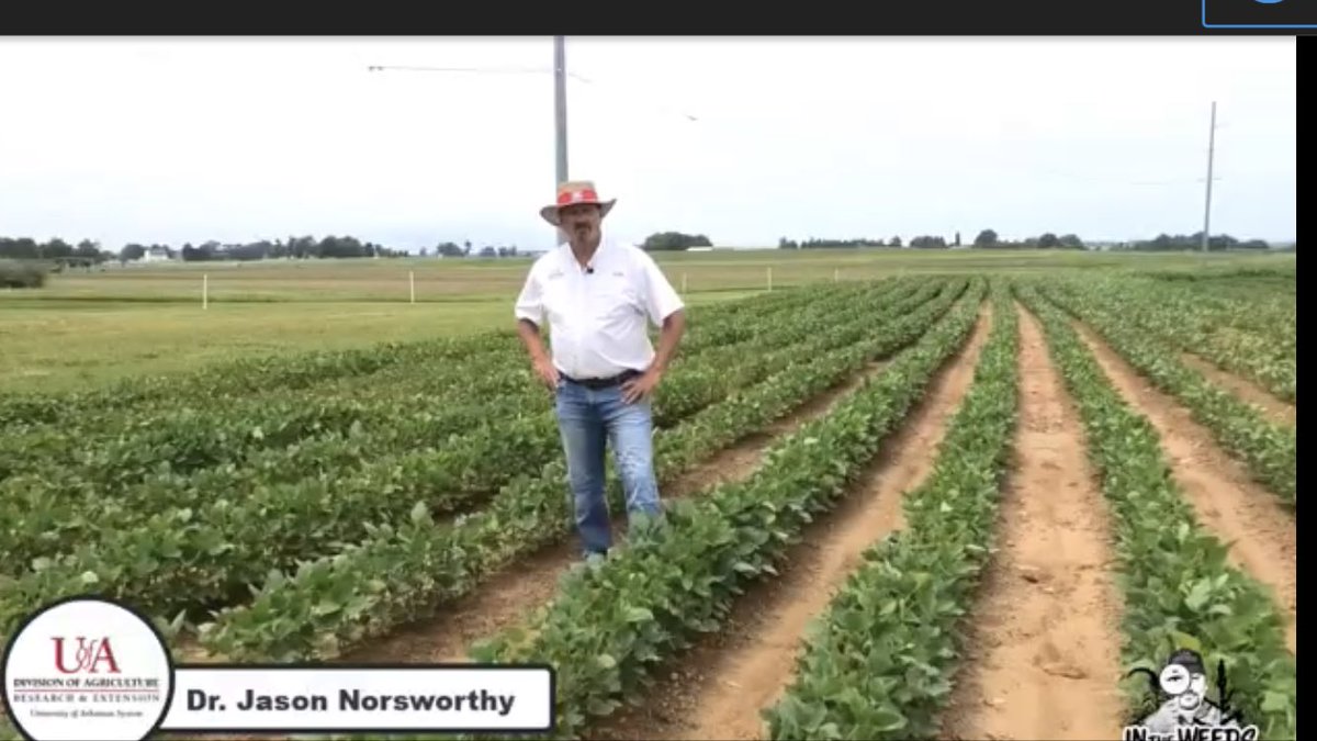 In this episode of “In the Weeds”, I look at some of the weed control triat platforms that should be available for soybean in 2021.  Please subscribe to my channel and like this video. slkt.io/7ReN/51253367