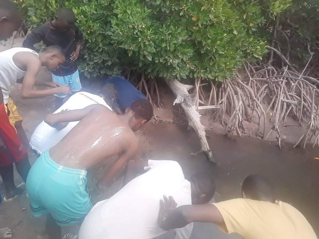 23Kidar's tweet photo. #Djibouti

LES JEUNES DU VILLAGE DE GOUBETTO À L ÎLE MAUCHA DANS LE CADRE DE LA JOURNEÉ MONDIAL DE LA JEUNESSE ORGANISÉ PAR LE #SEJS. https://t.co/10pqFQt0mp