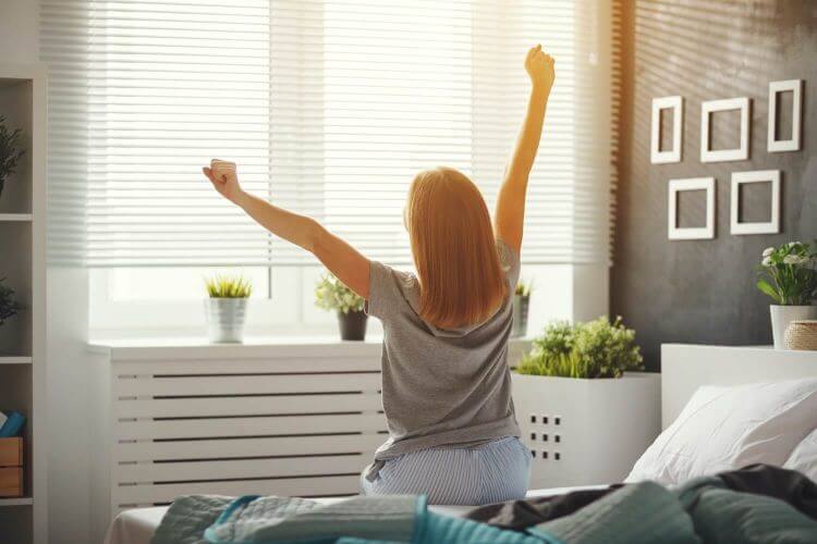 Leafi Home tweet media