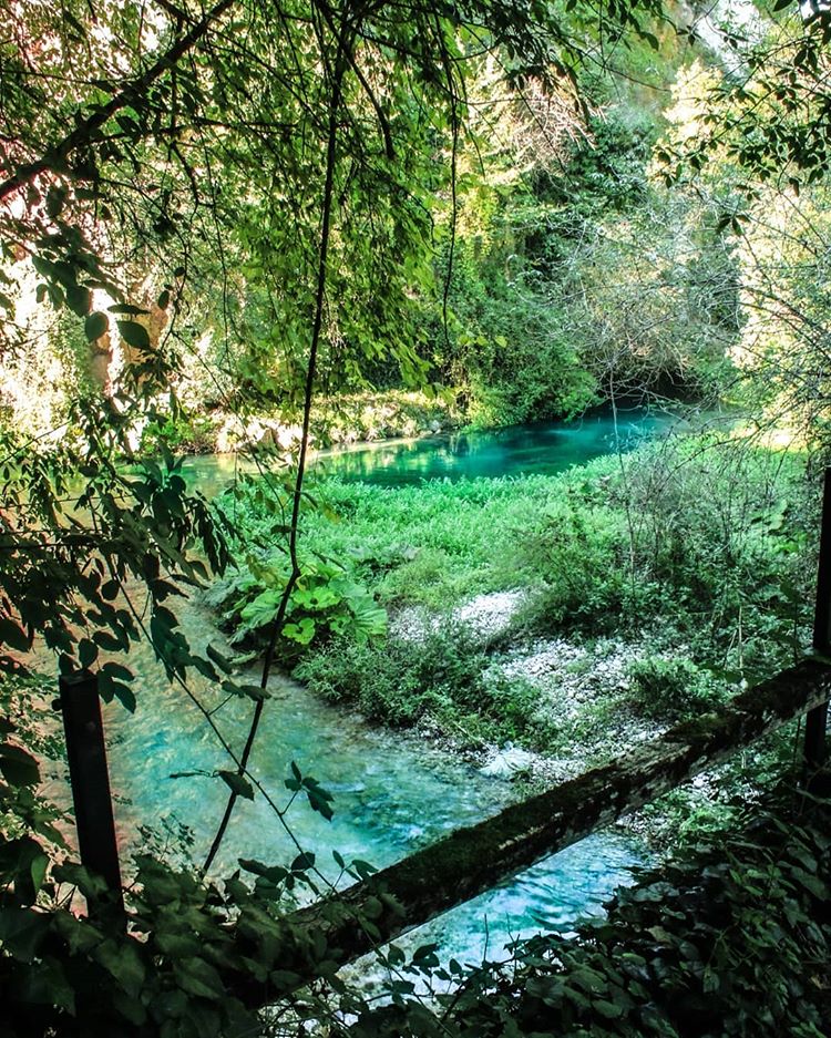 La natura rigogliosa intorno a Triponzo di #CerretodiSpoleto è un invito a farsi accogliere da questo luogo caratterizzato da 18 sorgenti di acqua termale ricca di zolfo e magnesio dal colore verde smeraldo
bit.ly/3fNKgei
PH dinoparisph
#umbriacuoreverde #viaggioinumbria