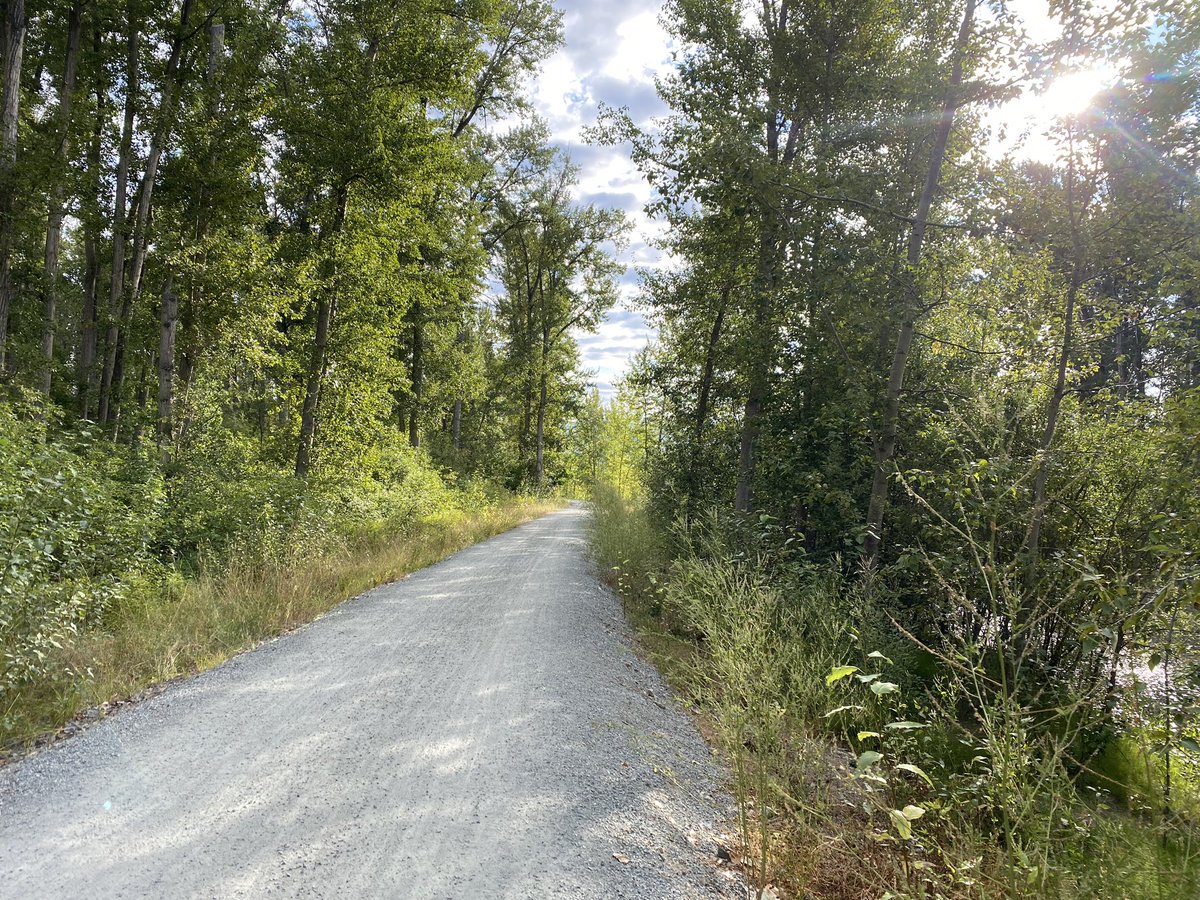 keeprunningkris's tweet photo. Rest day 5K along the creek! Out early to beat the Kelowna heat! Love taking a break from the cement/pavement for softer ground #run #runforrivs #runstreak #day254 #kelowna #runneronvacation #missioncreek #gvrat1000k #canadianrunner #calgaryrunner #greatcanadiancrossing https://t.co/u0HoqvgdfH