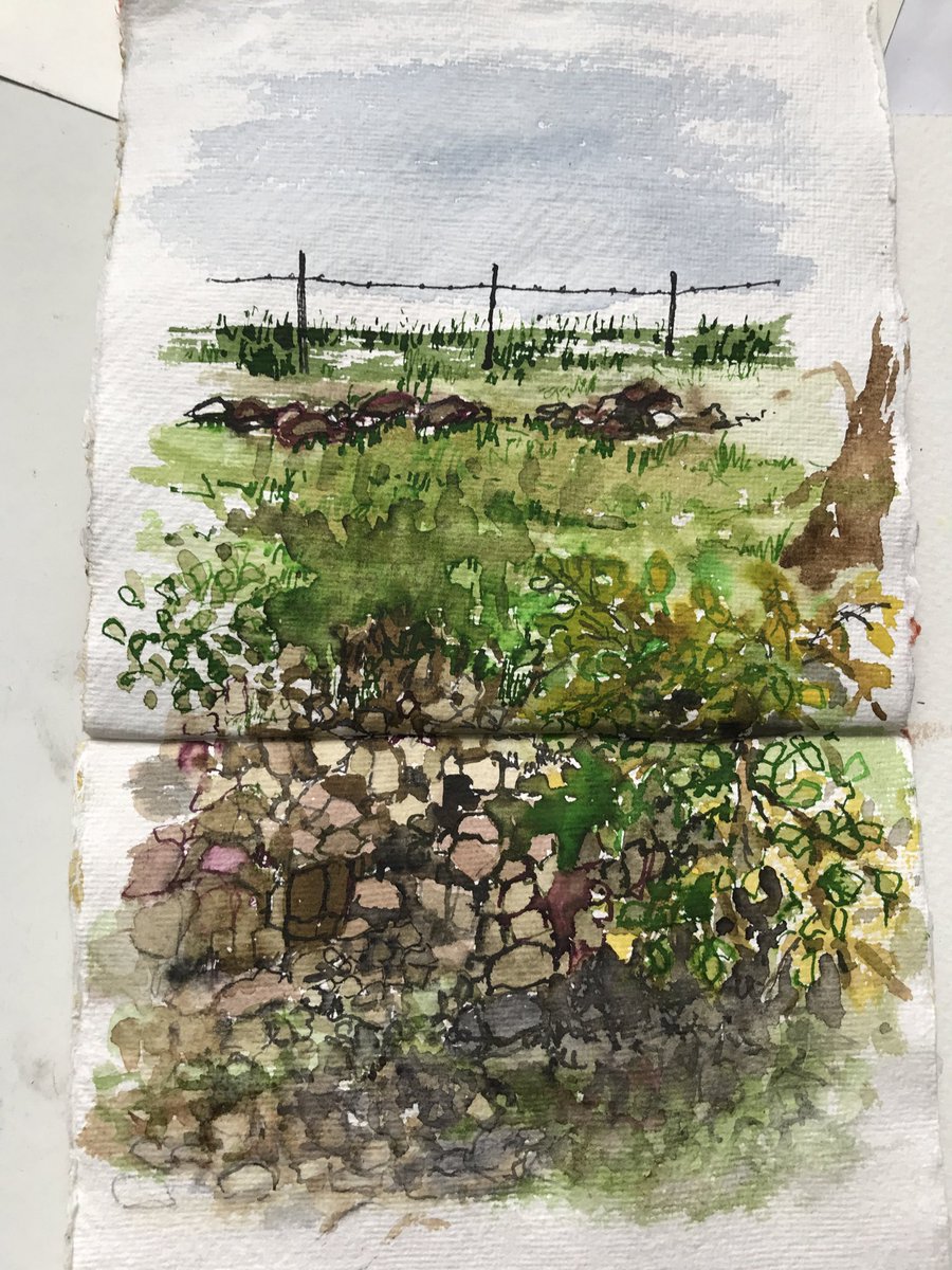 AnneMackinnon3's tweet photo. Another study of the bank of the River Clough across from my studio. Part of 25 sketches in August for #GreenDoor25 to celebrate 25 years. #FarfieldMill #Sedbergh #landscapes #artist #lovesflowers #gardenpainter #pen&ink #greendoorartists https://t.co/4EafeVzCHO